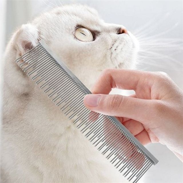강아지 일자 빗 고양이 일자 빗 반려동물 마사지 엉킨 제거 죽은 미용