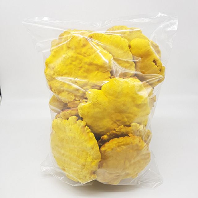 소포장 상황버섯(원형) 알뜰형 500g