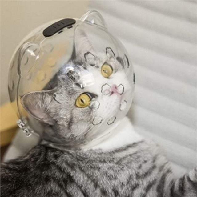 고양이 미용 마스크 고양이 목욕 헬멧 반려묘 스트레스 가리개 입마개 이동장 보호대 털깎기 스파 치료