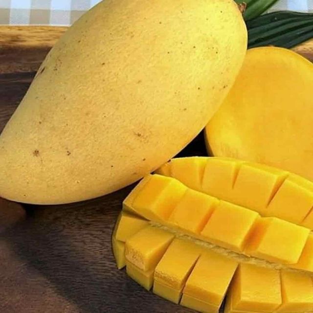망고 5kg 수입망고 가정용망고 달콤한망고 망고박스