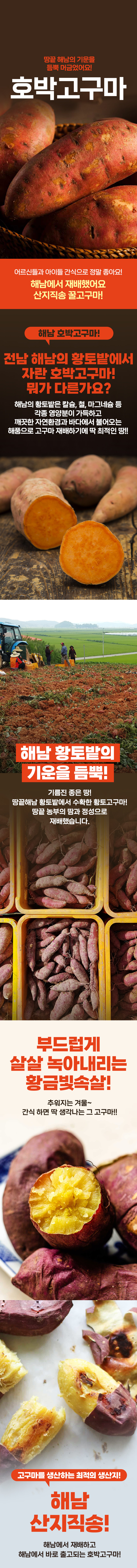 호박고구마-셀러ver-1.png