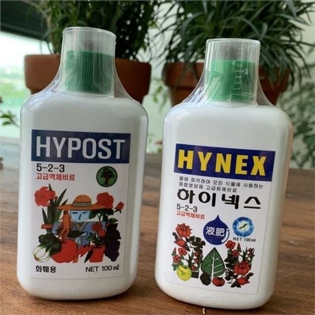 고농축 식물 영양제 용액상 액체 비료 관엽 화분