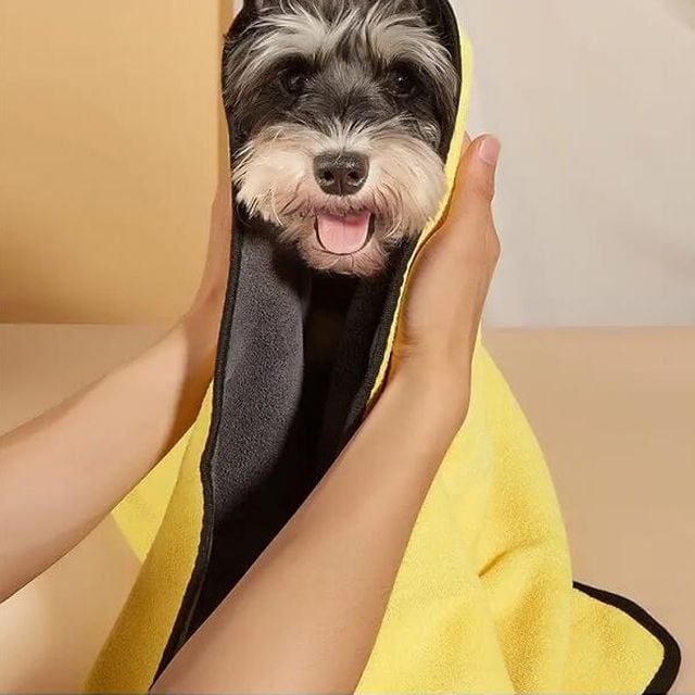 극세사 펫타올 M 1P 퀵드라이 강아지 고양이 수건