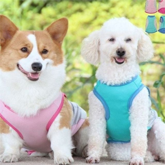 강아지 여름 조끼 8XL 강아지 쿨 조끼 쿨링 쿨티 강아지산책 메쉬 셔츠 애견