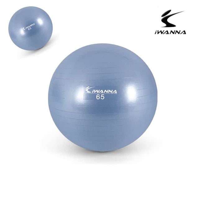 안티버스트 짐볼 65cm 라벤더 마사지볼 마사지짐볼 임산부짐볼 스트레칭볼