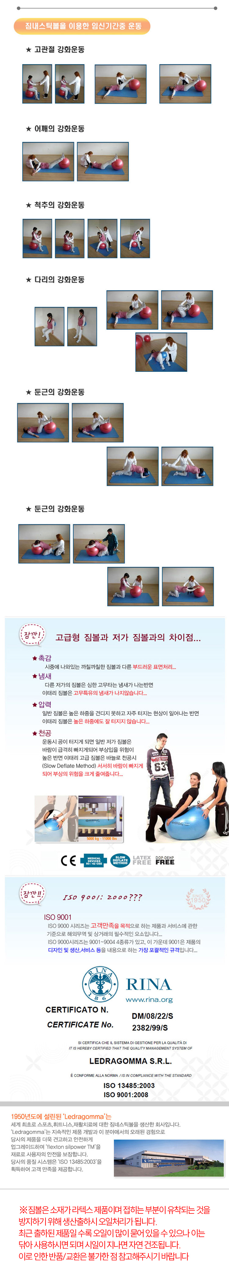 짐볼,헬스,운동기구