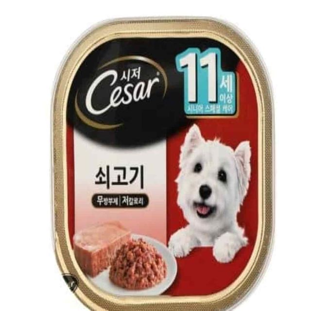 캔 11세이상쇠고기 100g 말랑한시니어강아지사료 강아지캔사료 강아지습식캔 소형강아지사료
