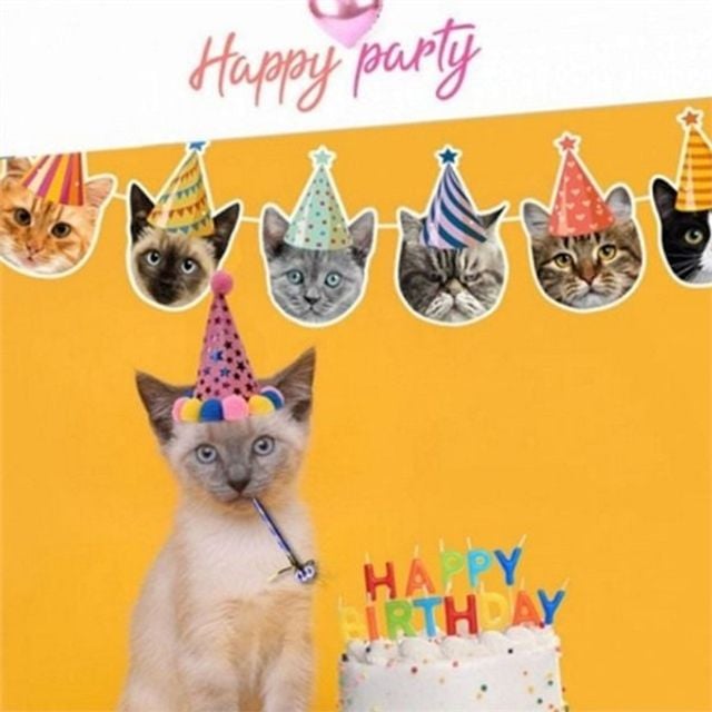 생일축하 반려동물 파티 용품 기념 고양이 생일 가랜드 반려묘 소품