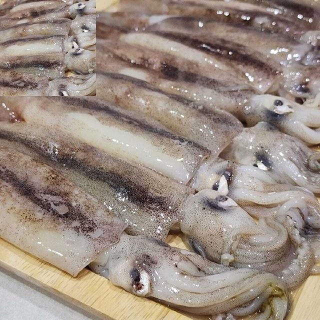 국내산 통찜용 선동오징어 2kg 찜요리 수산물 손질해동 냉동식재료