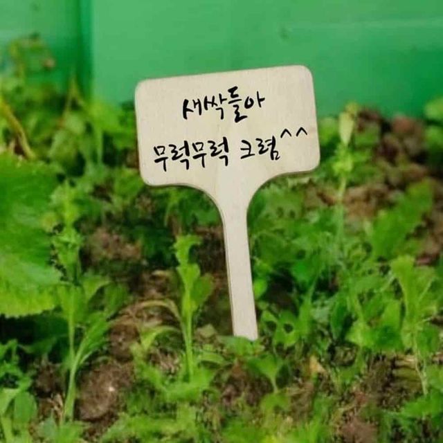 식물이름표 10p 원예용품 식물팻말 꽃팻말 화분라벨