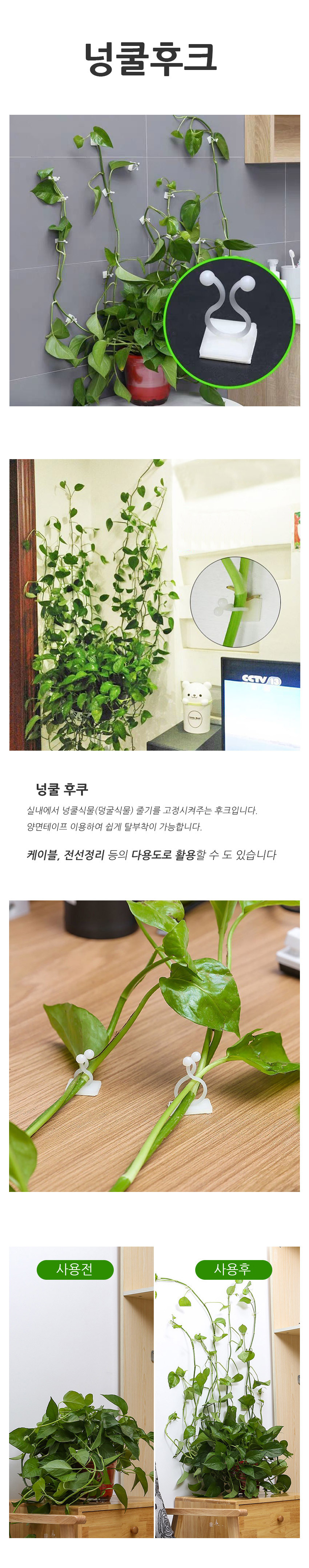 선고정후크,식물꾸미기