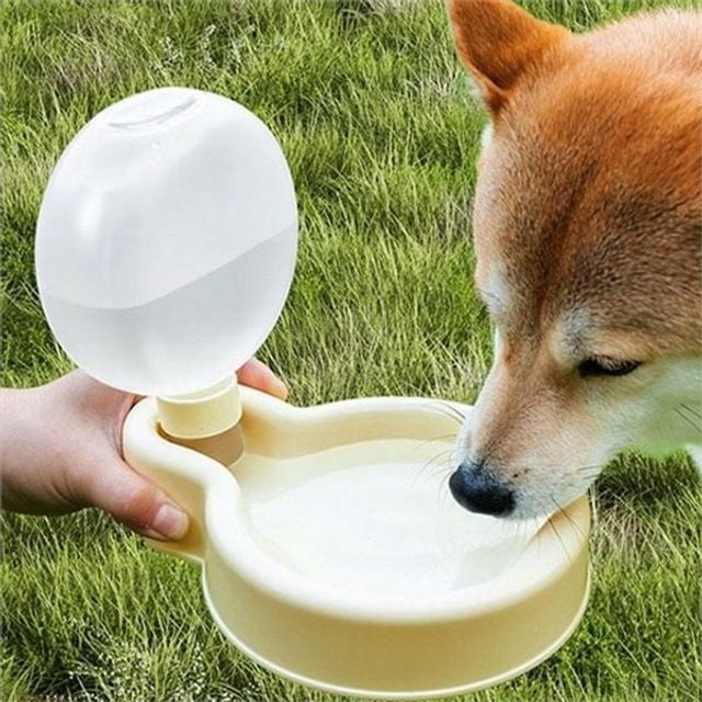 강아지 휴대용 물병 반려동물 휴대용 물통 급수기 음수용 산책 야외 용품