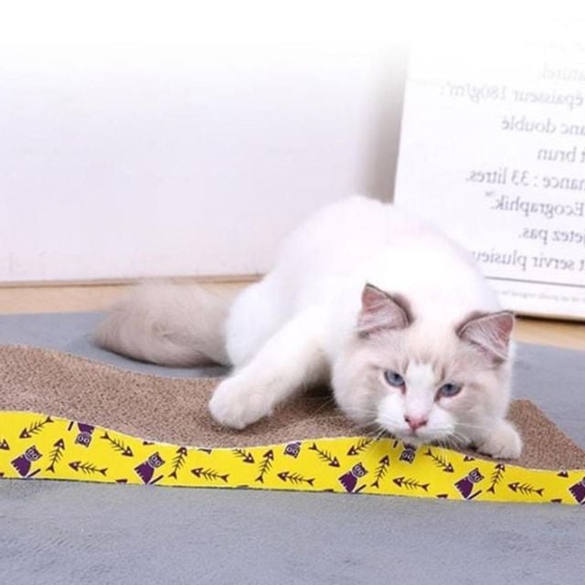 골판지 반려묘 스트레스 해소 고양이 스크래쳐 반려묘용품