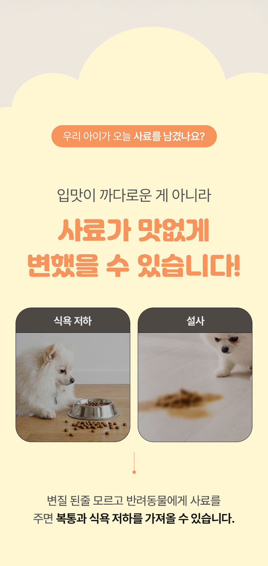 상세페이지