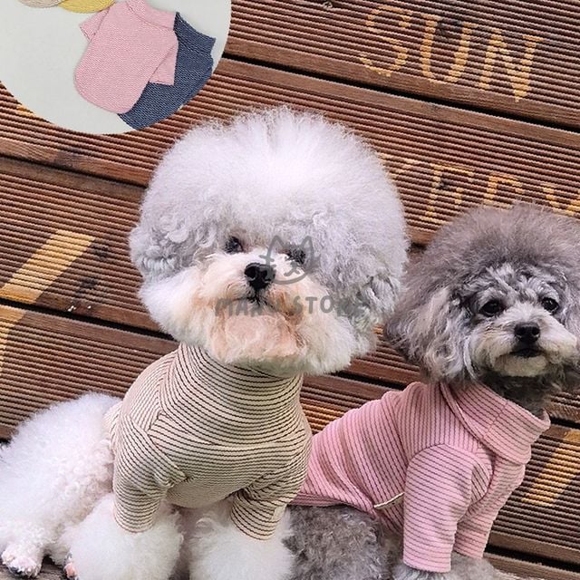 강아지봄가을옷 소형견옷 여성강아지맨투맨