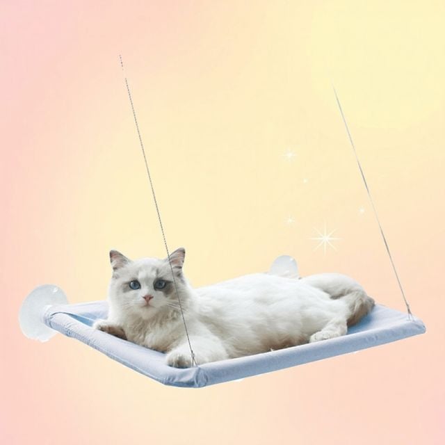 고양이 해먹 유리창 침대 윈도우 선반