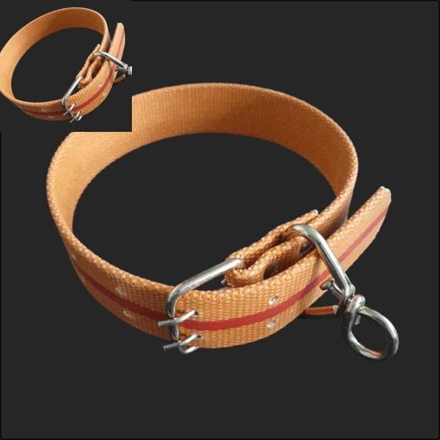 밸트 삼각슈밸 개목줄 40mm 70cm 강아지 목걸이 목줄 대형견 중형견 러프웨어목줄 애견 진돗개 시골개 대형