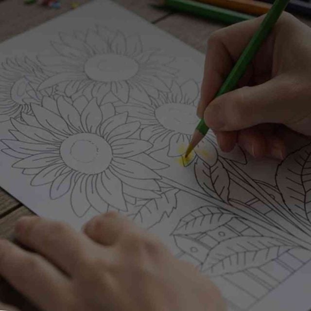 시니어 컬러링북 색칠하기도안