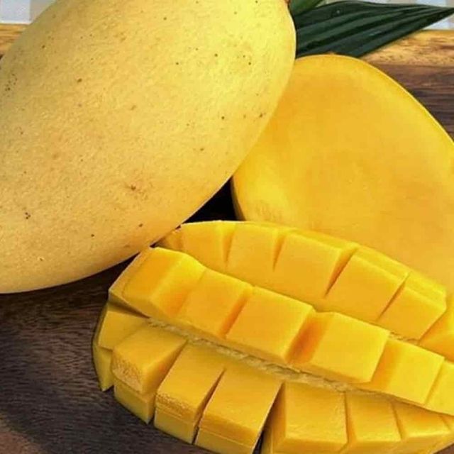 망고 2.5kg 열대과일 달콤한망고 망고선물 수입과일