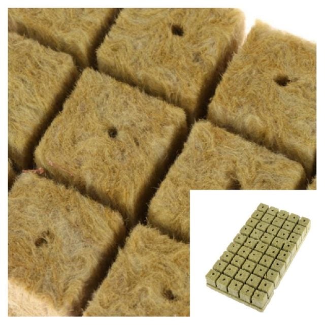 씨앗 발아 스타터 울플러그 25x25x25mm 50개 원예도구 정원도구 가드닝소품 원예소품