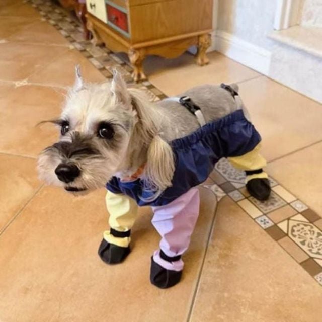 보호 발바닥 반려동물 점프수트 중소형견 올인원 강아지옷