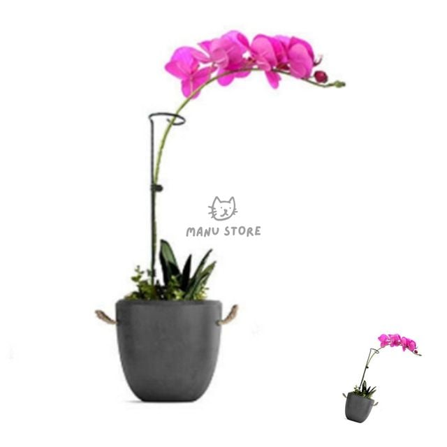 장미지지대 화분식물지지대 식물 줄기 고정지지대 35cm