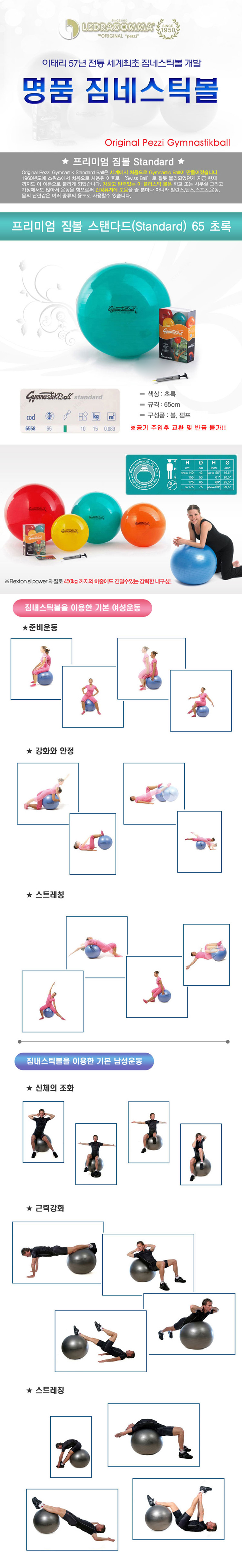 짐볼,헬스,운동기구