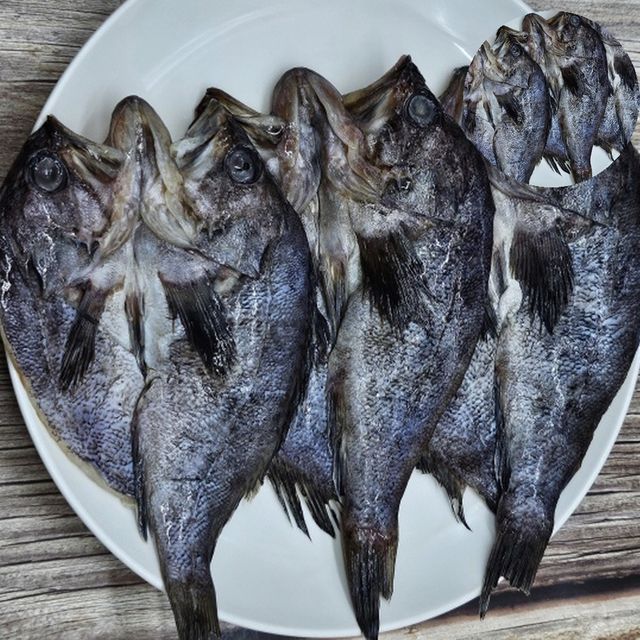 구이용생선 마른생선 반건조 우럭 3미