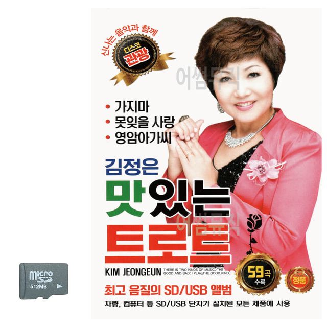 김정은 맛있는 트로트 관광디스코 SD 노래