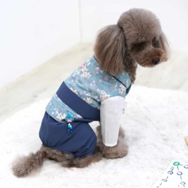 애견 한복바지 (블루) 강아지한복 애견한복