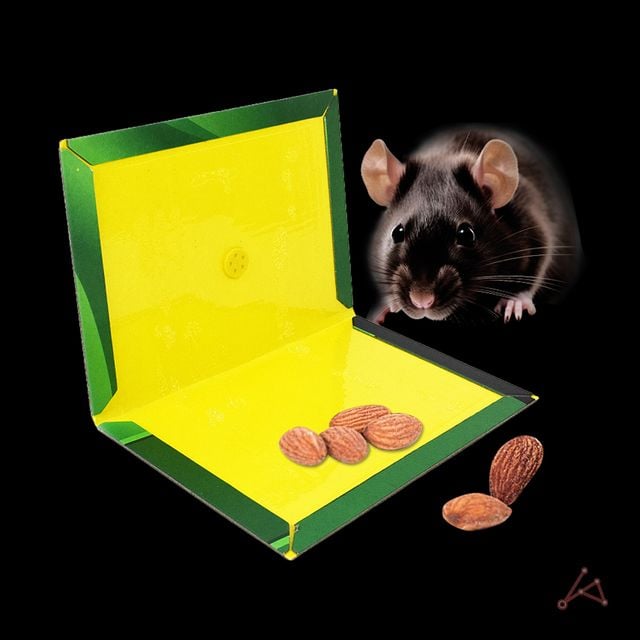 쥐 끈끈이 쥐잡이끈끈이 끈끈이트랩 - 이미지 2