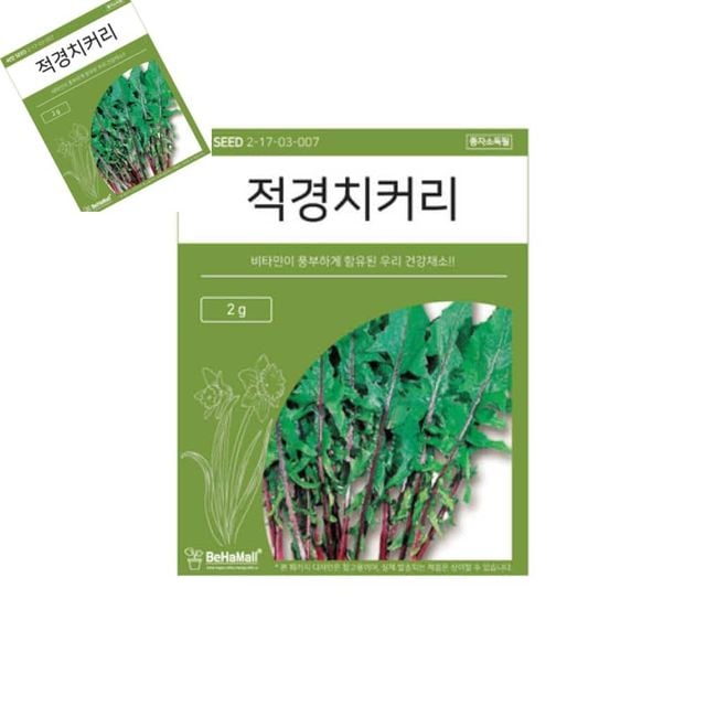 텃밭 채소 씨앗 적경 치커리 치커리씨앗 치커리키우기 야채씨앗 텃밭용품