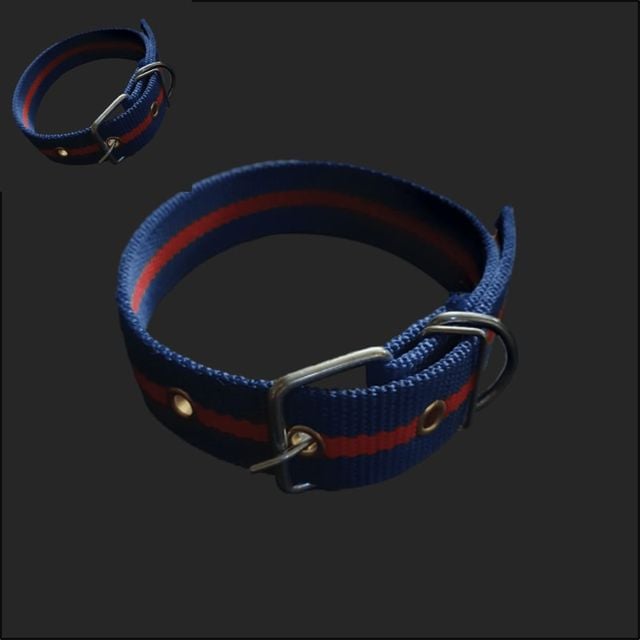 개목줄 PP 특대 30mm 파랑 대형 중형 넥밴드 나일론 애완견 개줄 목걸이 반려견목줄 특대형 중형견용 산책