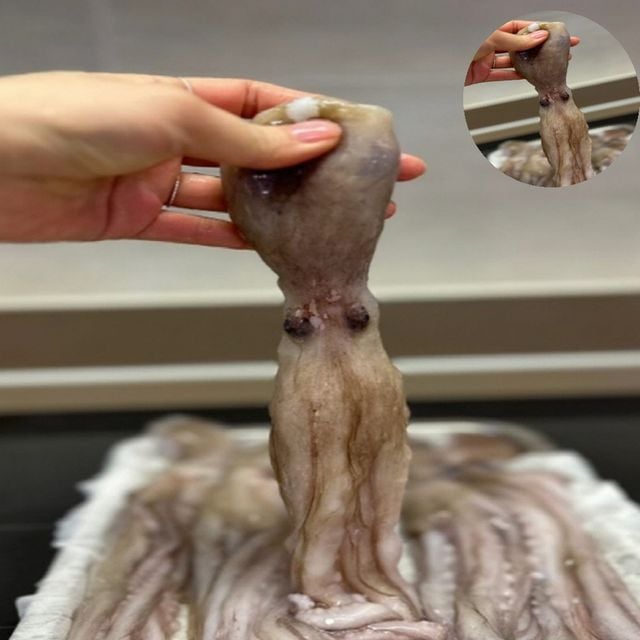 신안낙지 산낙지시세 낙지 1kg