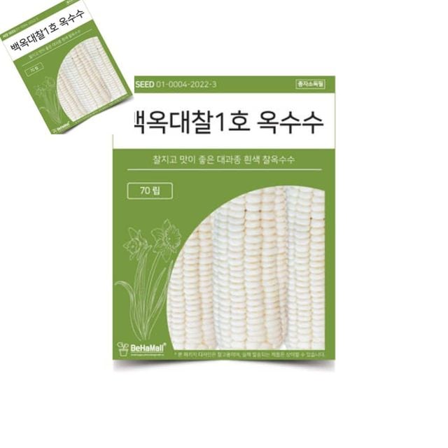 텃밭 채소 씨앗 백옥대찰1호 옥수수 찰옥수수씨앗 찰옥수수종자 옥수수키우기 식용씨앗