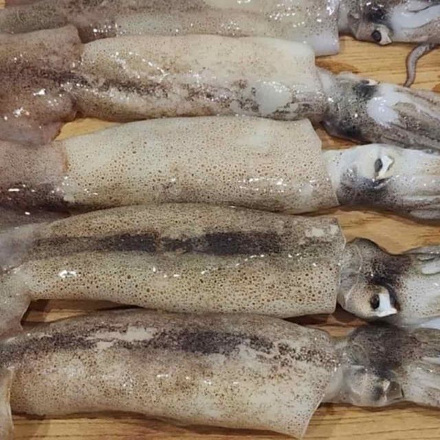 국내산 냉동 오징어 3미 냉동수산물 오징어요리 오징어구이 오징어볶음