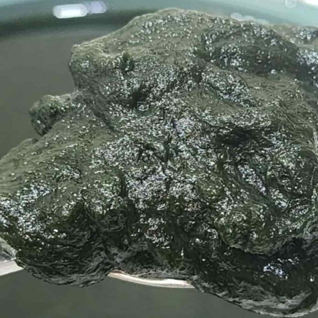 매생이 400g 3p 매생이전 매생이국 냉동매생이 매생이무침