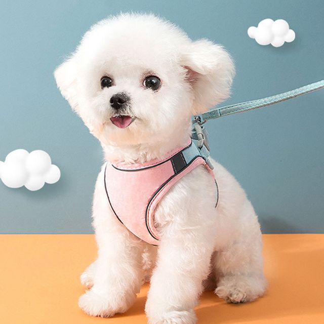 반려동물 빛반사 하네스 리드줄 M 고양이 야간하네스