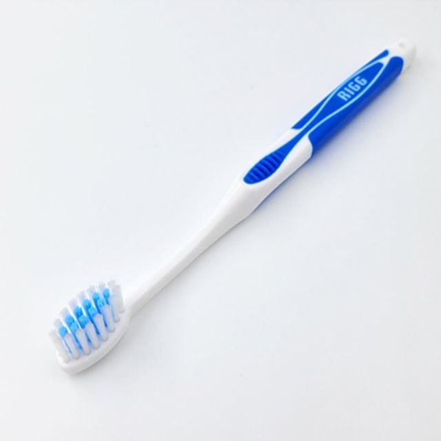 일본산 에비스 칫솔 보통모칫솔 프리미엄칫솔 일본산칫솔