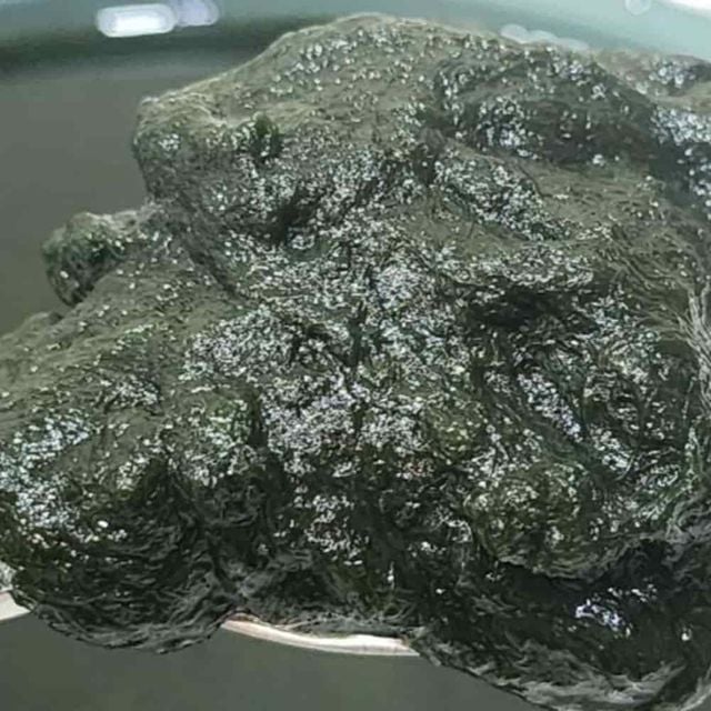 매생이 400g 10p 세척매생이 건강식재료 제철해산물 제철수산물