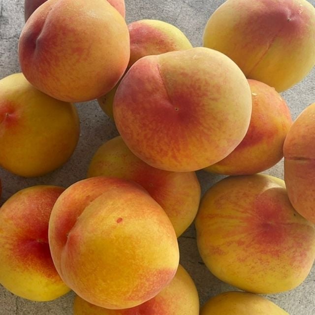 황도 복숭아 2kg 중소과