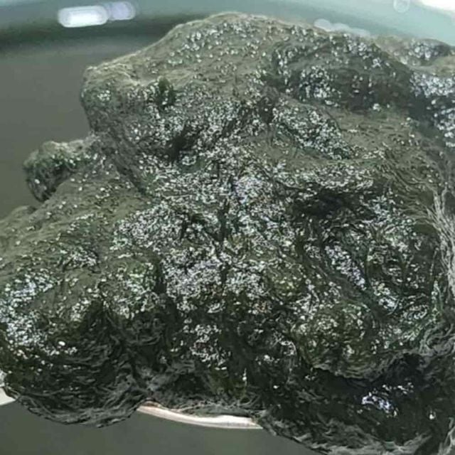 매생이 400g 5p 완도매생이 제철음식 메생이 냉동매생이