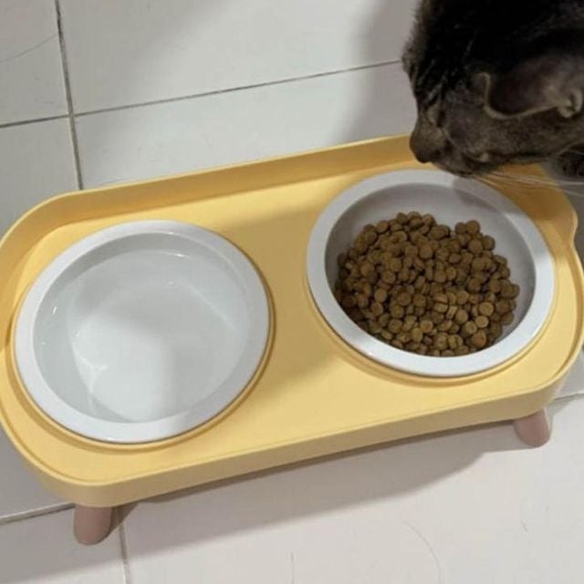 2구 강아지 사료그릇 미끄럼방지 데일리 급식 식기 강아지식기