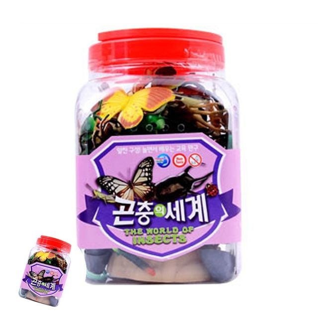 곤충탐구키트 곤충탐험놀이세트 곤충학습 곤충의 세계 대