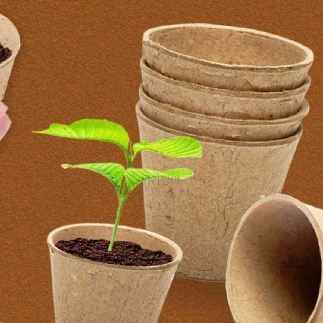 모종 종이화분 20p 씨앗종이화분