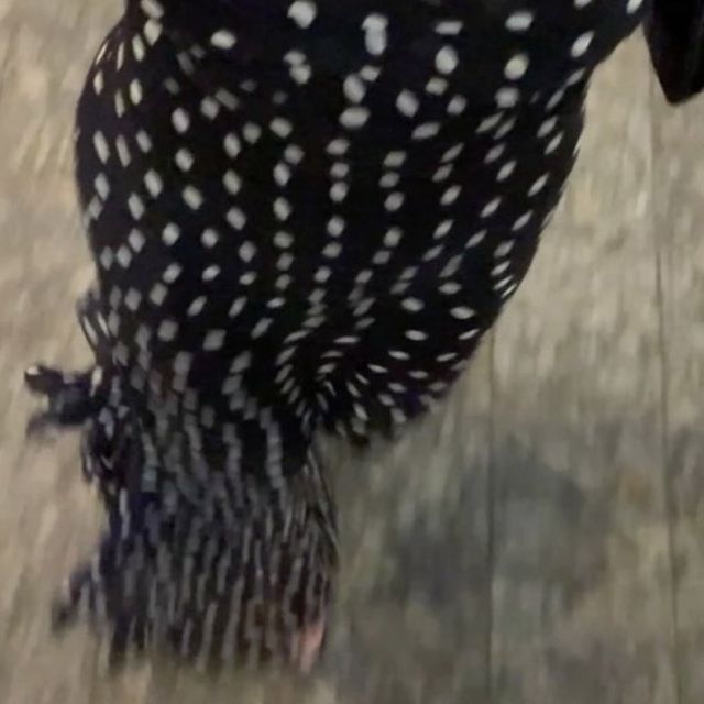 노인용품 누수방지 속옷 기저귀 특수 세탁 가능한 99 - 이미지 5