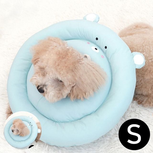 애견넥카라 강아지목카라 뉴 베프카라 곰 블루 S