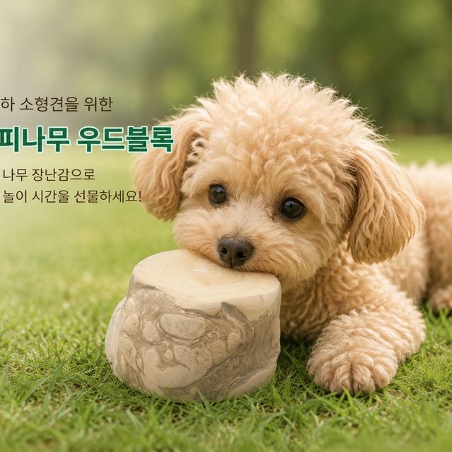 애견 천연 커피나무 우드 블럭 강아지 장난감 핸드메이드 커피츄 - 이미지 4