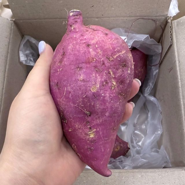 호풍미/풍원미 당근 고구마 특상 5kg