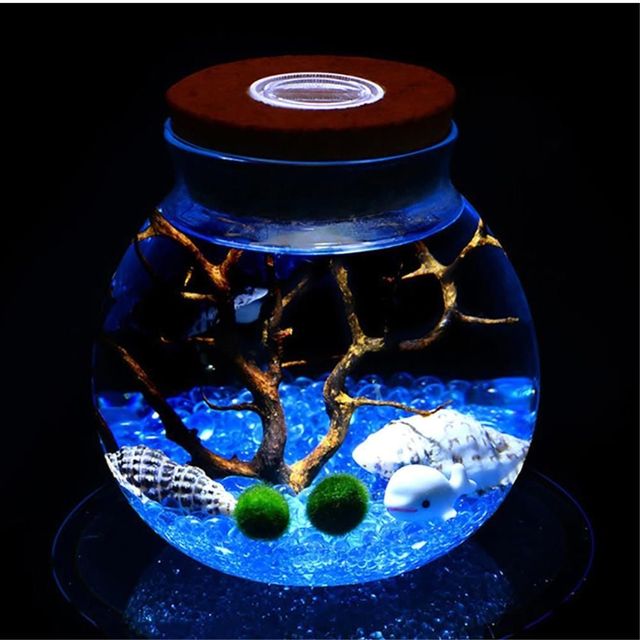 LED 유리 코르크병 12x13cm 마리모 키우기